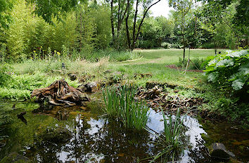 Biotop im Botanischen Garten Düsseldorf