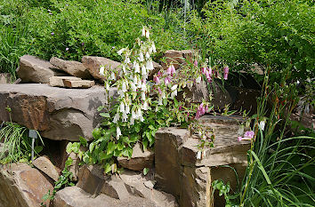 Steingarten im Botanischen Garten Düsseldorf