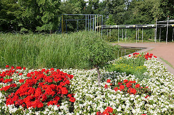 Blumen im Düsseldorfer Nordpark