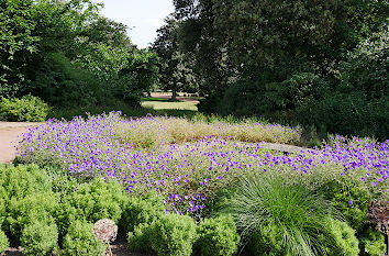 Blumenrabatte im Nordpark Düsseldorf