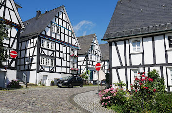 Freudenberg