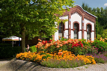 Blütenpracht Freizeitpark Maximilian Hamm