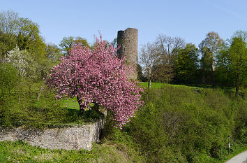 Vorburg Burg Blankenberg