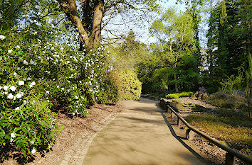 Wanderweg im Forstbotanischer Garten Köln