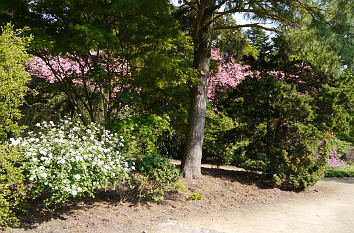 Wanderweg Forstbotanischer Garten Köln