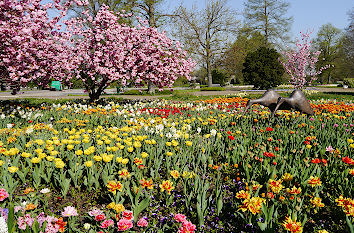 Rheinpark Köln im Frühjahr