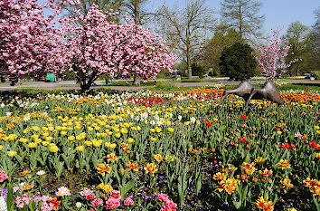 Rheinpark in Köln