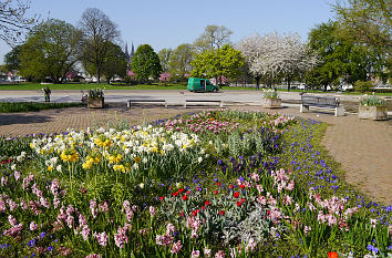 Frühlingspracht im Kölner Rheinpark