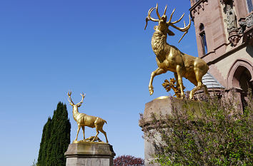 Schloss Drachenburg und Rhein