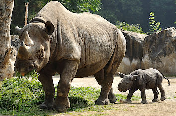 Zoo Krefeld