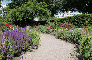 Staudenbeet Müga-Park Mülheim an der Ruhr