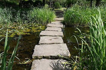 Teich im Müga-Park in Mülheim an der Ruhr