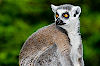 Allwetterzoo Münster