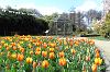 Schlossgarten mit Botanischem Garten in Münster