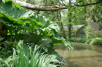 Riesenrhababer Kunstmuseum Insel Hombroich