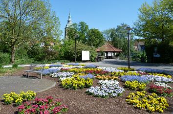 Flora Westfalica in Wiedenbrück