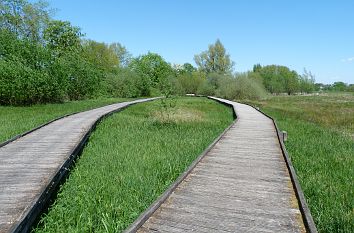 Bohlenwege im Gartenschaupark Rietberg