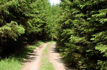 Rothaarsteig bei Züschen