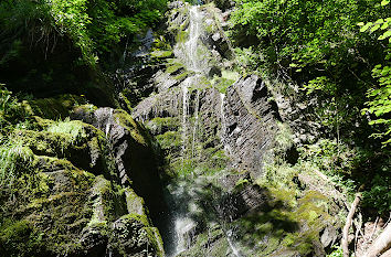 Plästerlegge im Rothaargebirge