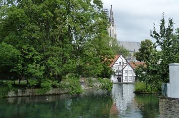 Großer Teich in Soest