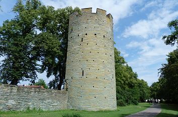 Kattenturm in Soest