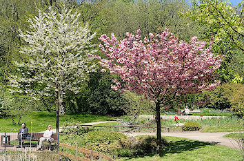 Botanischer Garten Solingen