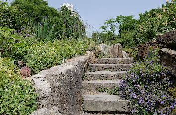 Steingarten Botanischer Garten Wuppertal