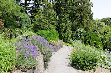 Botanischer Garten Hardt Wuppertal