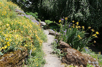 Botanischer Garten Elisenhöhe Wuppertal