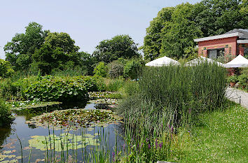 Teich im Botanischen Garten Wuppertal