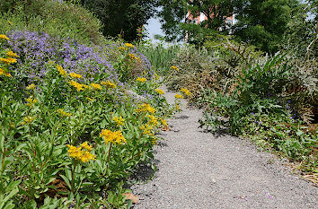 Botanischer Garten Hardt-Anlage Wuppertal