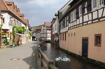 Fachwerkhäuser am Queich in Annweiler am Trifels