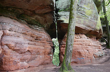 Altschlossfelsen mit Spalt im Pfälzerwald