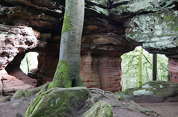 Höhlen im Altschlossfelsen