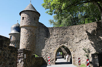 Vorburg Burg Lichtenberg