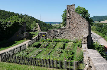 Kräutergarten Burgruine Lichtenberg