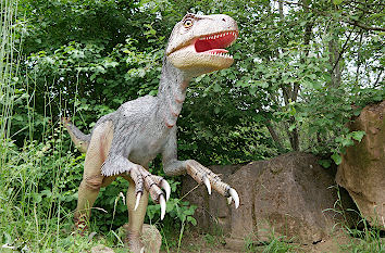 Dinosaurierpark Eifel Teufelsschlucht