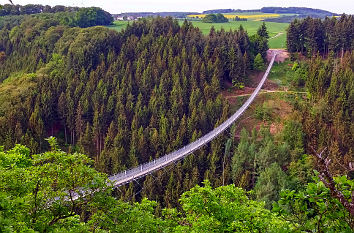 Hängebrücke pfalz