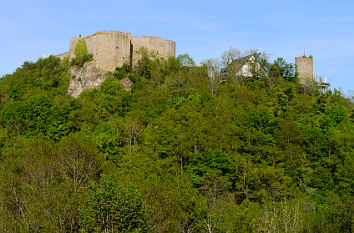 Ruine der Kyrburg