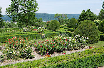 Rosengarten Roscheider Hof