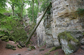 Teufelspfad Naturpark Südeifel