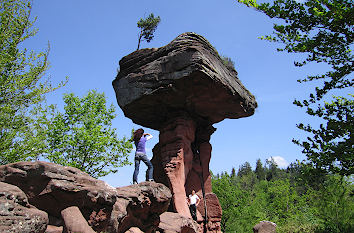 Teufelstisch im Pfälzer Wald