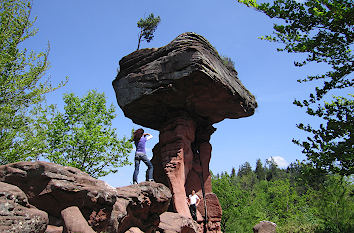 Teufelstisch im Pfälzer Wald