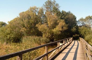 Brücke Wanderweg Westerwälder Seen