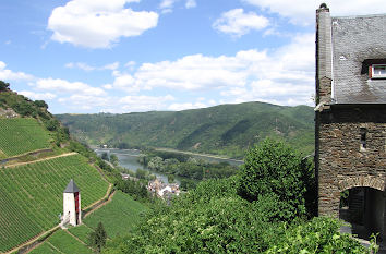 Weinberge, Postenturm und Rhein Bacharach