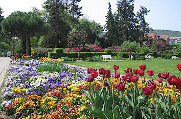 Blumenrabatte im Kurpark Bad Dürkheim