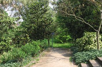 Botanischer Garten in Deidesheim