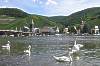 Moselpanorama in Bernkastel-Kues