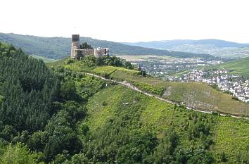 Blick vom Kaiserstuhl auf Burg Landshut