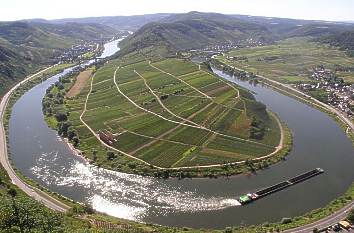 Blick auf die Moselschleife bei Bremm